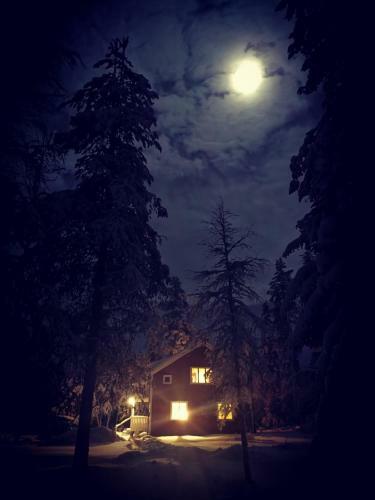 S�gen - Great Wildlife, No Neighbours, Large House