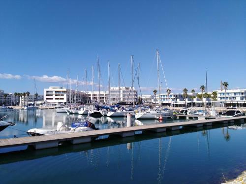 Apartamento Dom Manuel I