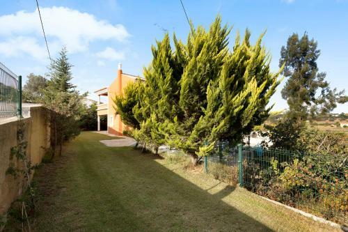 Countryside Villa