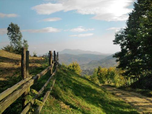Popasul Verde