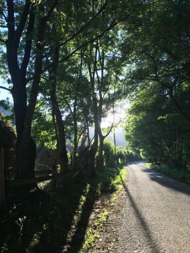 Lodge Pensiunea Valea Tonii