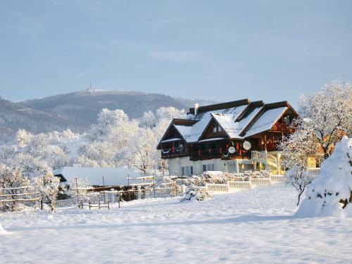 Hostal Pensiunea Amethyst