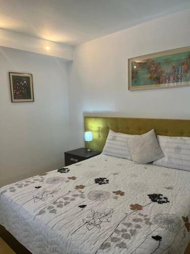 Apartament Theta- Langa Centru, Cada Hidromasaj