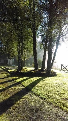 Woodland Spruce Lodge