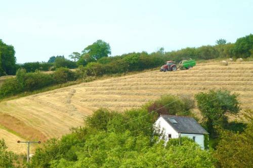 Apartamento Writing Shed Wales