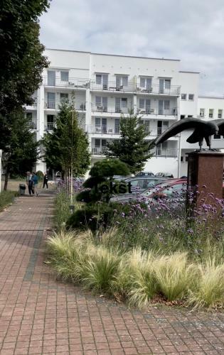 Apartament Bielik