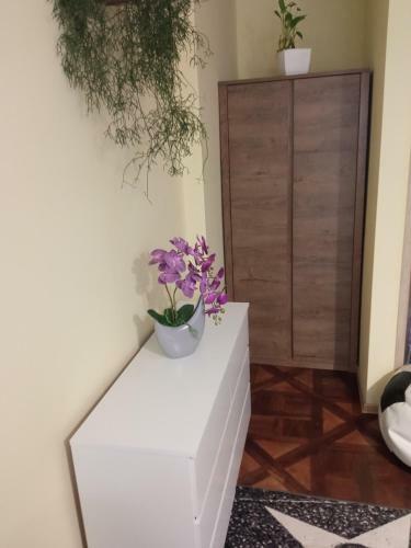 Apartamenty ?r�dmie?cie