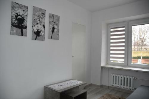 Apartament Nad Fontann?