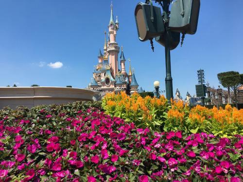 Apartamentos Appartement Near Disney Parks