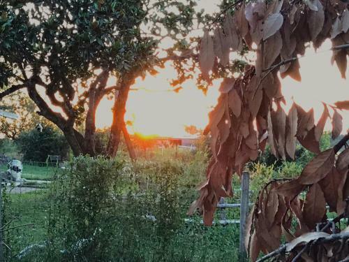 Bed & Breakfast Chez Gustave & Compagnie