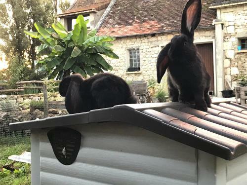 Bed & Breakfast Chez Gustave & Compagnie