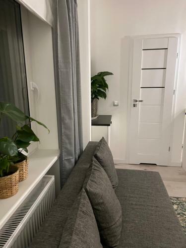 Apartamento Brzozowa Studio