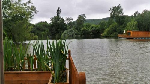 Cabanes Flottantes Et G�tes Au Fil de L'eau
