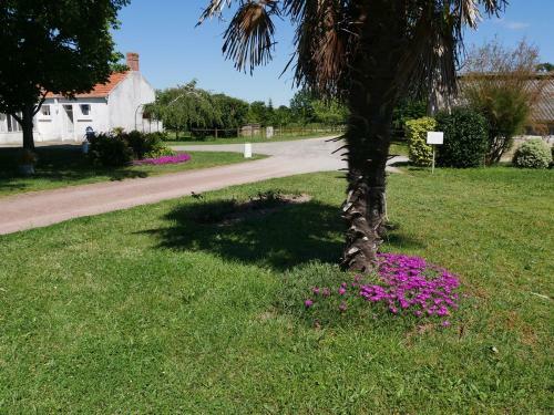 Maison de Vacances Avec Spa � Commequiers, 10 � 12 Personnes
