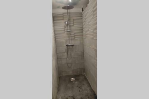 Maison de Vacances Avec Spa � Commequiers, 10 � 12 Personnes