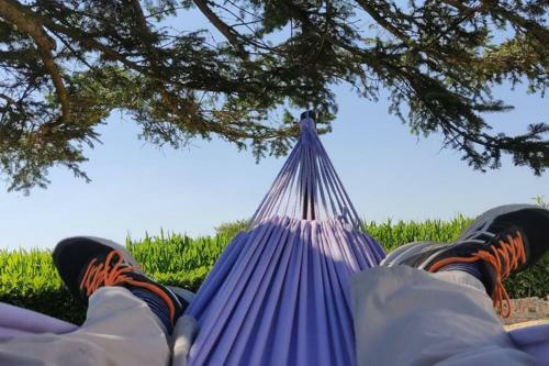 Maison de Vacances Avec Spa � Commequiers, 10 � 12 Personnes