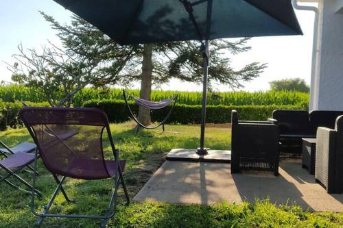 Maison de Vacances Avec Spa � Commequiers, 10 � 12 Personnes