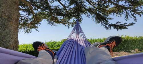 Maison de Vacances Avec Spa � Commequiers, 10 � 12 Personnes