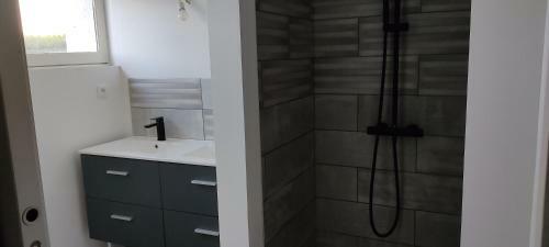Maison de Vacances Avec Spa � Commequiers, 10 � 12 Personnes