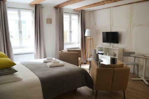 Apartamentos Studio Maison Verte Colmar Centre