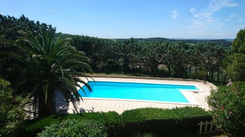 Plf Holidays