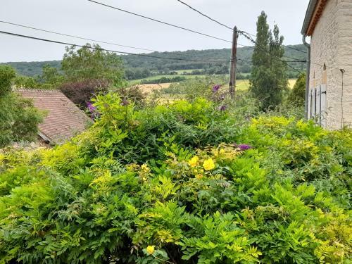Bed & Breakfast L'oxalis Chambre D'h�te Petit D�jeuner Compris
