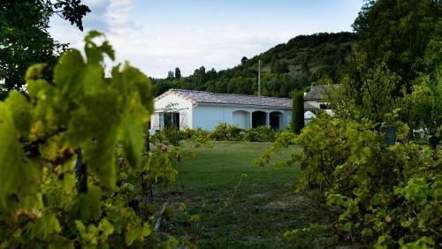 Bed & Breakfast Mas De Chaufondes