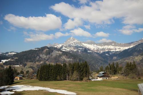 Chalet La Fruiti�re