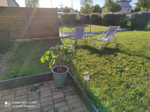 Chez Driss