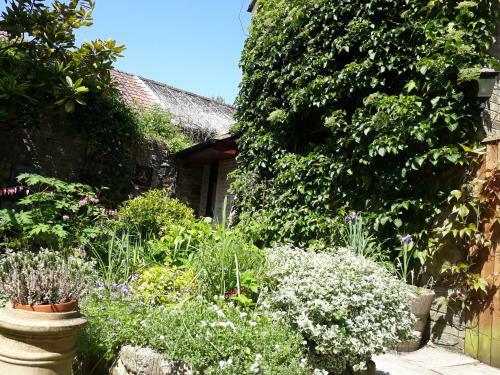 Hostal The Casterbridge