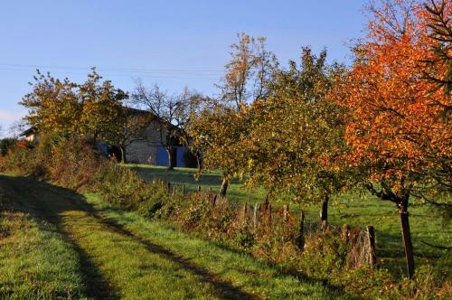 Bed & Breakfast Terres De La Grange