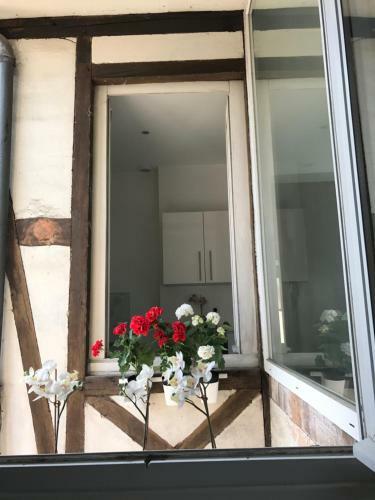 Apartamentos Guillaum's
