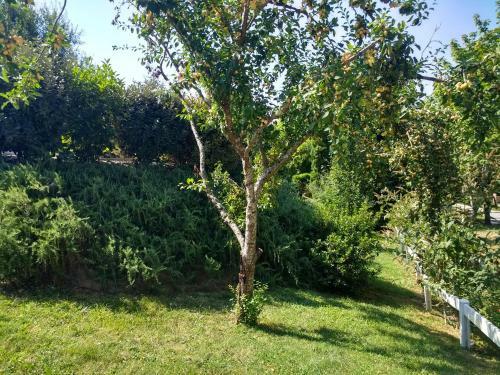 Bed & Breakfast Villa Terrefort
