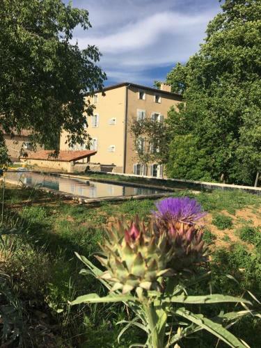 Bed & Breakfast Chateau Des Salles