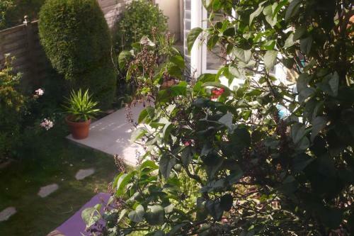 Apartamento Maison � Malo Les Bains � 5mn de La Plage