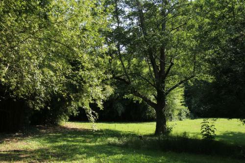 Au Petit Bernerot - Les G�tes de L'arbre Voyageur