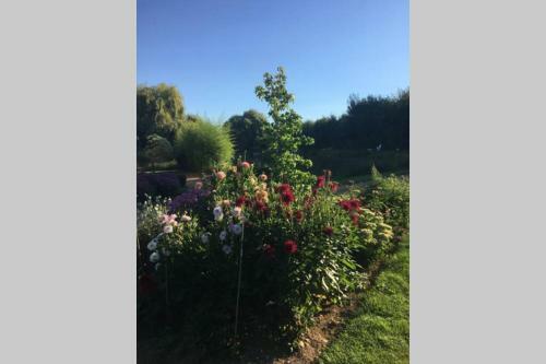 Apartamento Coeur de Combray (Ifs Appartment)