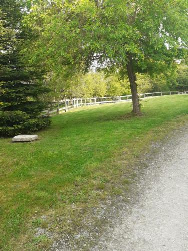 Bed & Breakfast Auverg'nature Chambre Combrailles