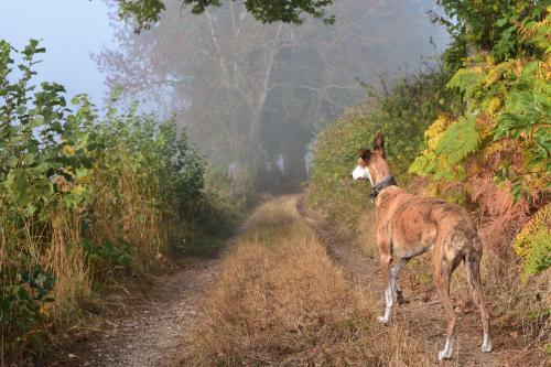 Bed & Breakfast "en Bord De Chemin"