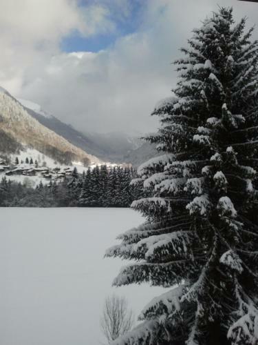 Apartamento Au Calme Face Au Grand Paysage