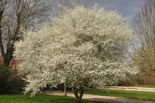 Cottage "le Pre Calas" | Etang, Parc Enfant Et Spa