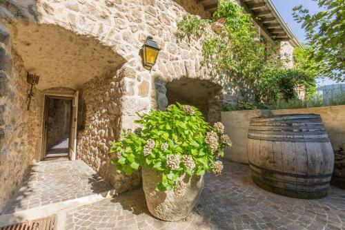 Les Hiboux Du Domaine Du Moulin