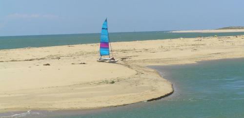 Les Lavandes