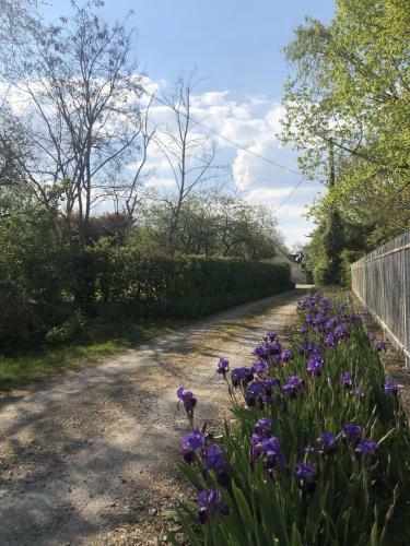 Hostal Villa Cassandre