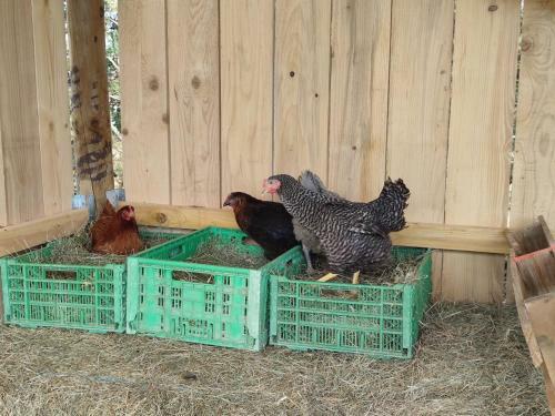 Cocon Familial � La Ferme