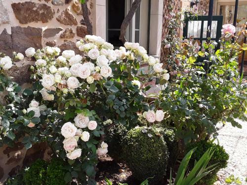 Hostal Les Terres Basses