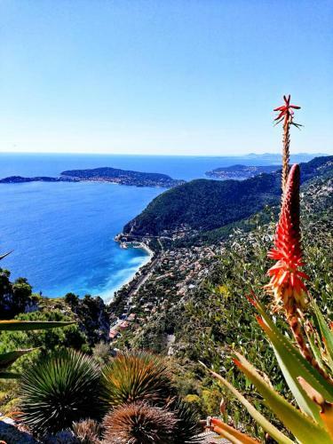 Apartamento Studio Au Calme, Avec Terrasse Et Parking � Eze Village
