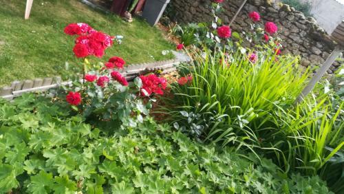 Bed & Breakfast Chambres Des Noels