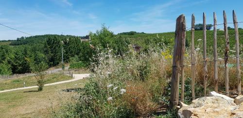 Bed & Breakfast Maison Reces