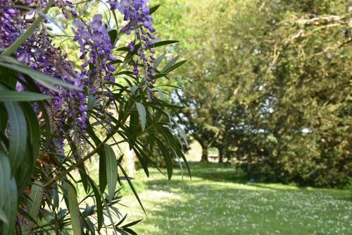 Bed & Breakfast Domaine de Baleyssac